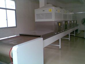 廣東福滔 微波牛肉干燥殺菌機(jī)廠家直銷，以卓越品質(zhì)引領(lǐng)行業(yè)標(biāo)準(zhǔn)