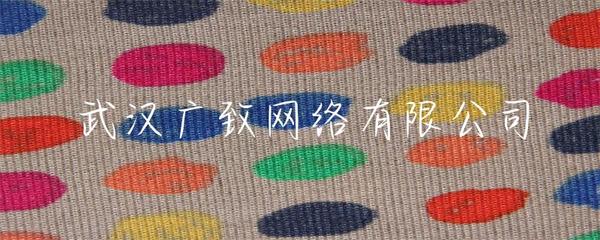 武漢廣致網絡 專業賦能，打造卓越的企業網站建設解決方案